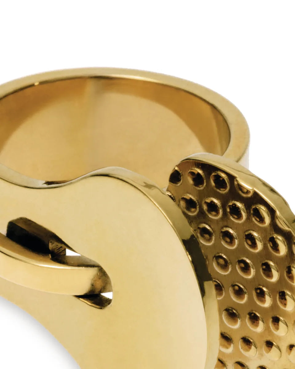 Alessi — Trama ESA03 ESA03 4L | Anello in acciaio dorato Salmistraro — vista principale