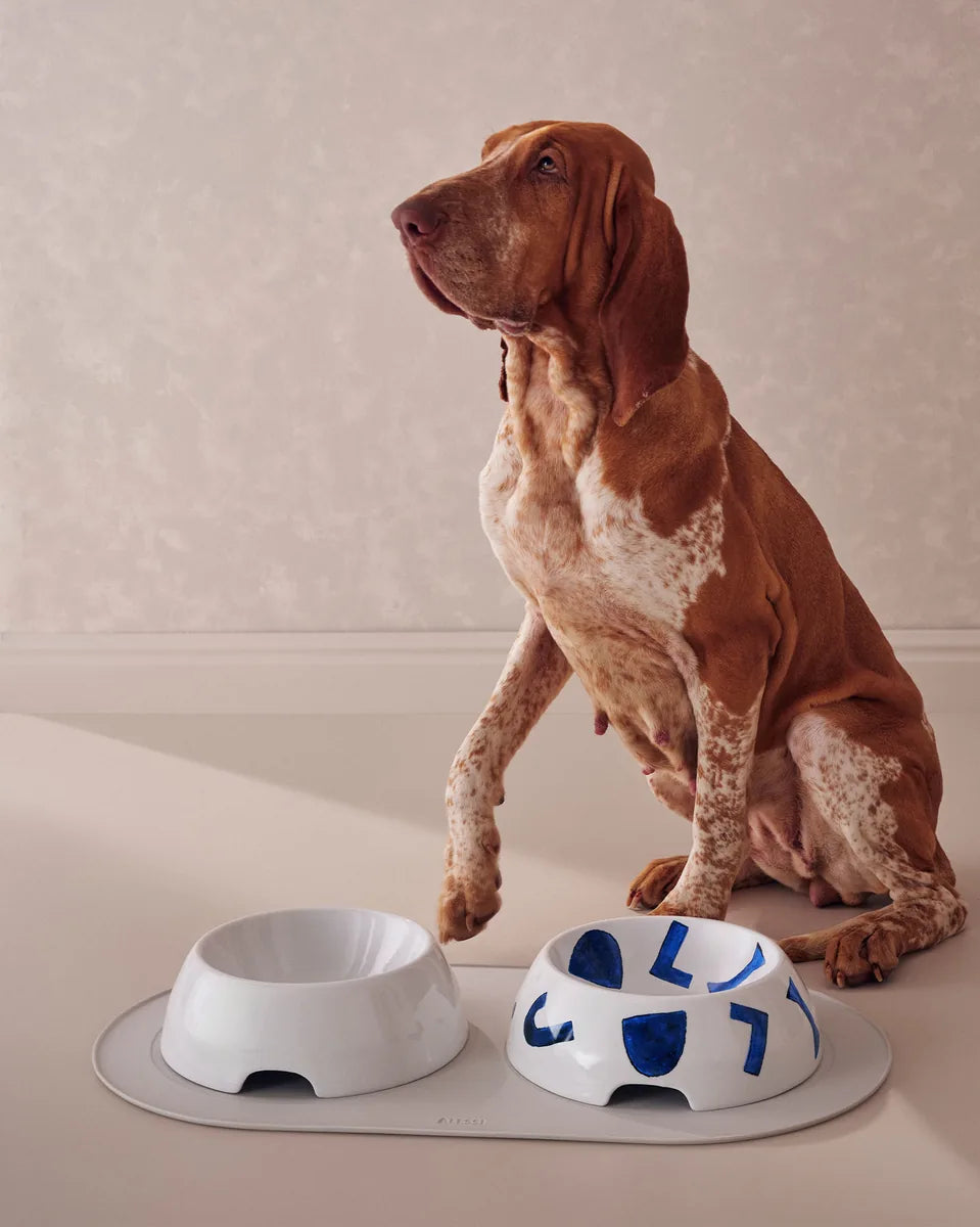 Alessi — Itsumo NF16S G | Tappetino in silicone per animali Fukasawa — ambientazione