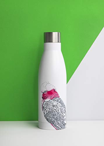 Maxwell & Williams borraccia termica bianca Koala & Friends doppia parete acciaio inox 500ml