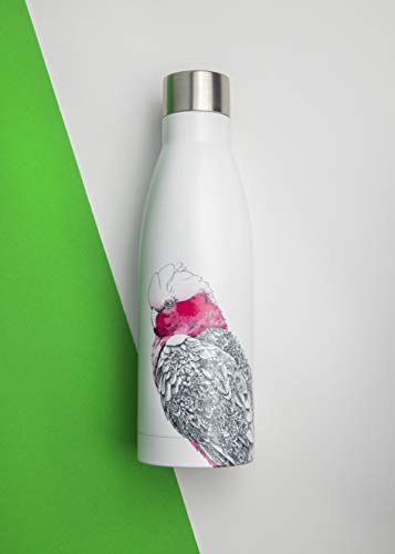 Maxwell & Williams borraccia termica bianca Koala & Friends doppia parete acciaio inox 500ml