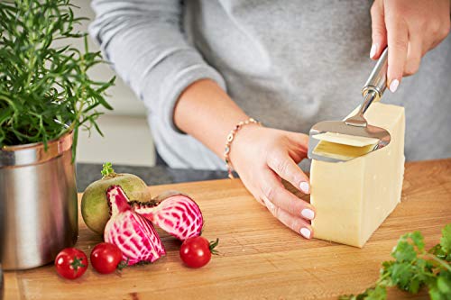 Rösle coltello da formaggio lama seghettata acciaio inox