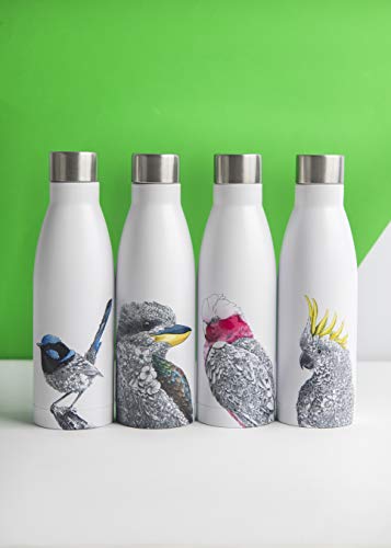 Maxwell & Williams borraccia termica bianca Koala & Friends doppia parete acciaio inox 500ml