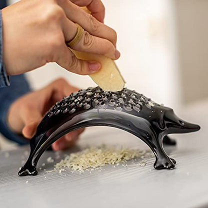 Koziol Kasimir grattugia riccio in plastica, design tedesco per cucina e tavola