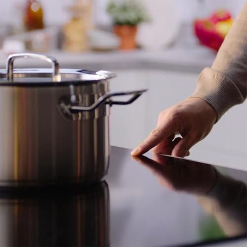Fissler pentola acciaio inox 16L argento con coperchio metallo - design tedesco