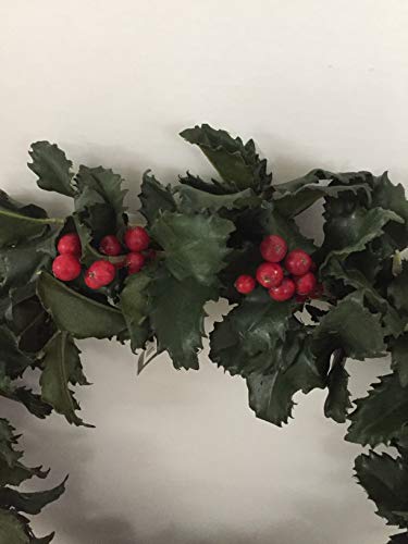 SIA Ghirlanda con Bacche 40cm rosso, decorazione natalizia in materiale naturale