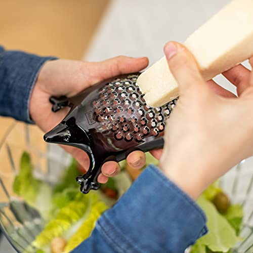 Koziol Kasimir grattugia riccio in plastica, design tedesco per cucina e tavola