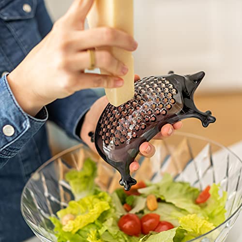 Koziol Kasimir grattugia riccio in plastica, design tedesco per cucina e tavola