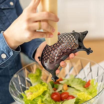 Koziol Kasimir grattugia riccio in plastica, design tedesco per cucina e tavola